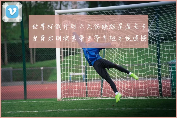 世界杯倒计时六天伤缺球星盘点卡尔费尔明埃基蒂克等年轻才俊遗憾缺席