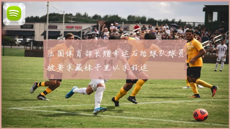 法国体育部长赠幸运石给球队球员被要求藏袜子里以求好运